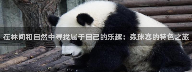 在林间和自然中寻找属于自己的乐趣：森球赛的特色之旅