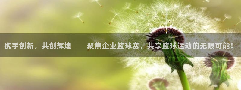 携手创新，共创辉煌——聚焦企业篮球赛，共享篮球运动的无限可能