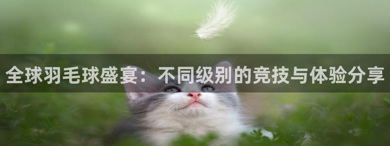 全球羽毛球盛宴：不同级别的竞技与体验分享