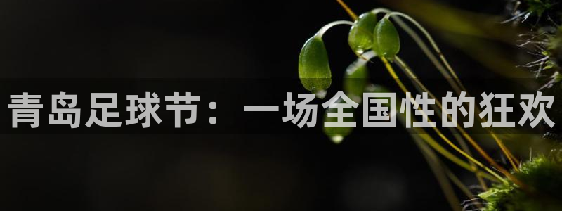青岛足球节：一场全国性的狂欢