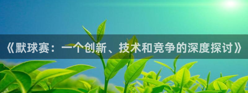 《默球赛：一个创新、技术和竞争的深度探讨》