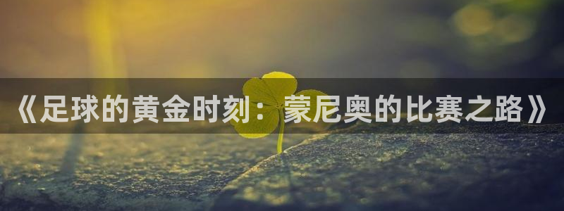 球王会体育官网入口：《足球的黄金时刻：蒙尼奥的比赛之路》