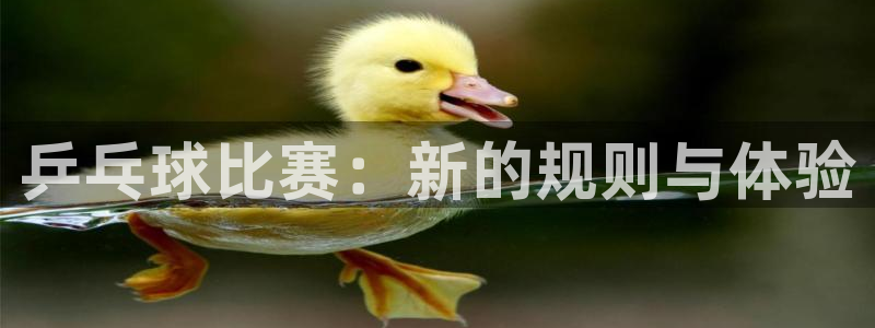球王会体育免费版：乒乓球比赛：新的规则与体验