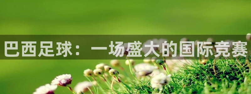 球王会体育官网入口：巴西足球：一场盛大的国际竞赛